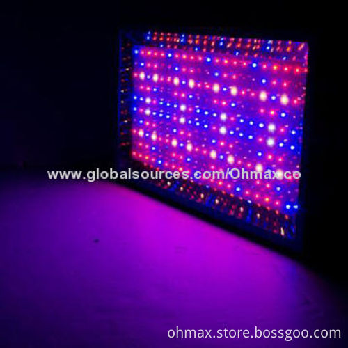Greenhouse LED Grow Light, 600W, Red/Blue/White for in Indoor Plants Growing,Vegetable/Fruit/Flower